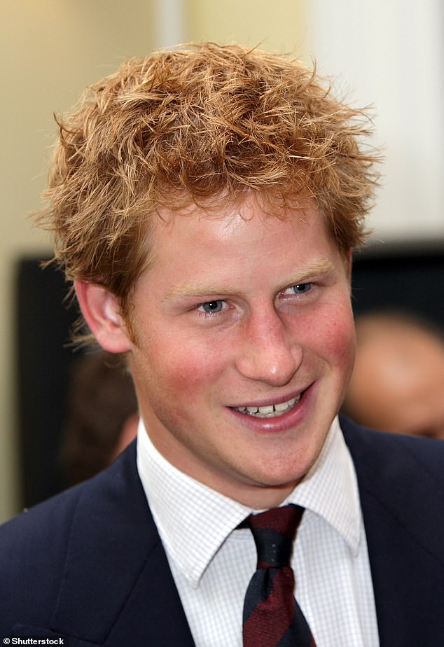 Harry, with his hair tousled, attended a MapAction charity reception in London in 2007