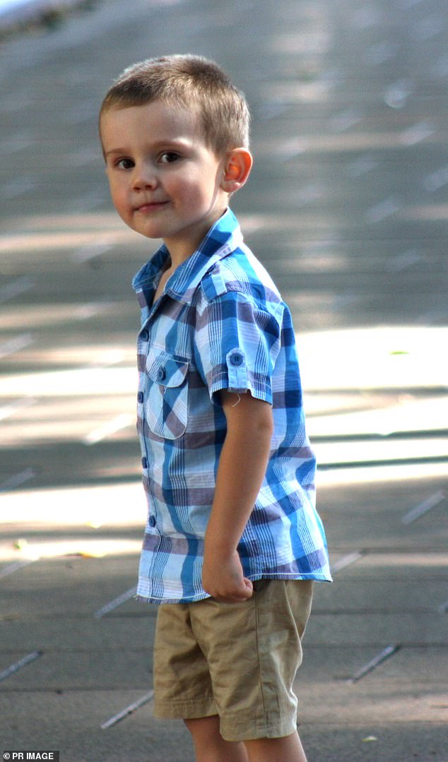 William Tyrrell (pictured) disappeared from his foster grandmother's home on the NSW north coast on September 12, 2014