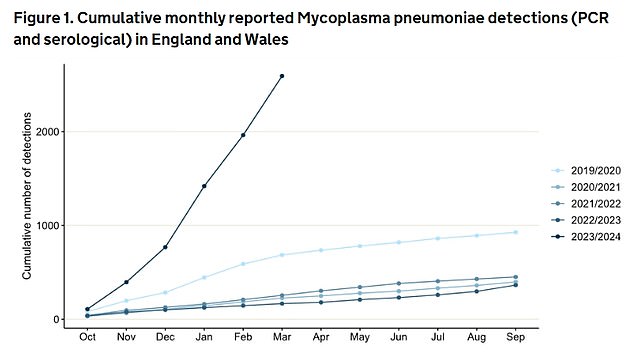 The latest UKHSA data shows that there were 2,592 confirmed cases of mycoplasma pneumonia in England and Wales between October 2023 and March 2024 – seven times the number in 2022/2023 (364).