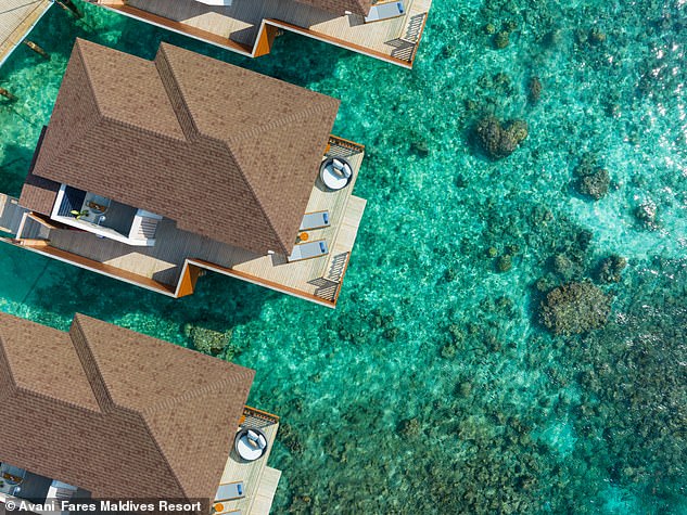 Carol says: 'As we walk into our two-bedroom villa with an overwater pool, at the end of the row of bungalows connected by a wooden bridge, I feel like I've won the lottery.'