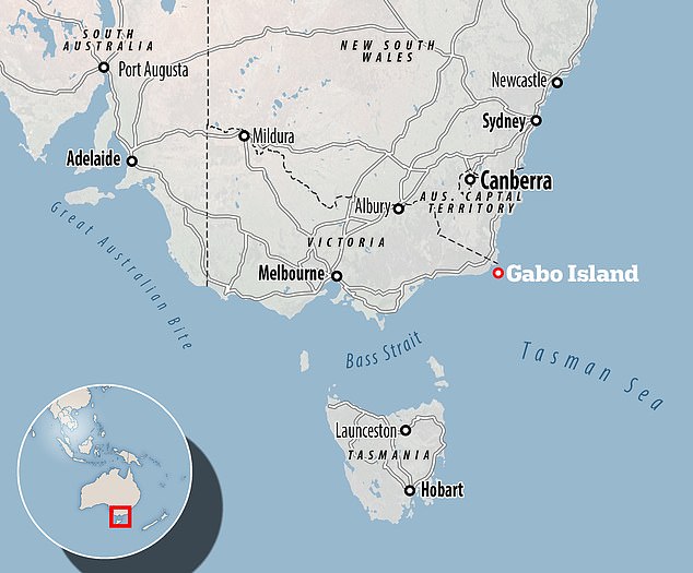 A map showing where Gabo Island is compared to mainland Australia