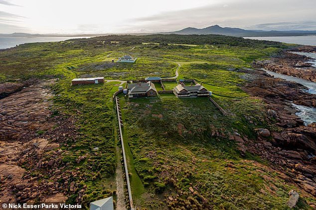 Mr Duthie spends six months of the year on Gabo Island – one month on and one month off – with only a colony of penguins for company