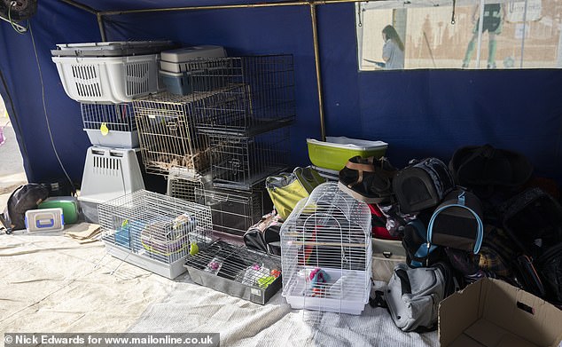 Bird cages and other pet equipment are stored in tents at the campsite