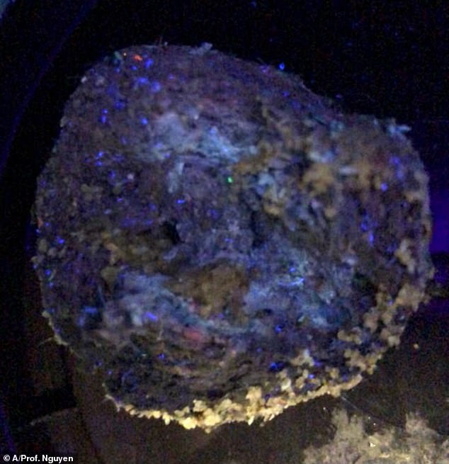 Initial tests showed that the balls glowed under UV light, indicating that organic compounds may have been mixed into the petroleum-derived oils.