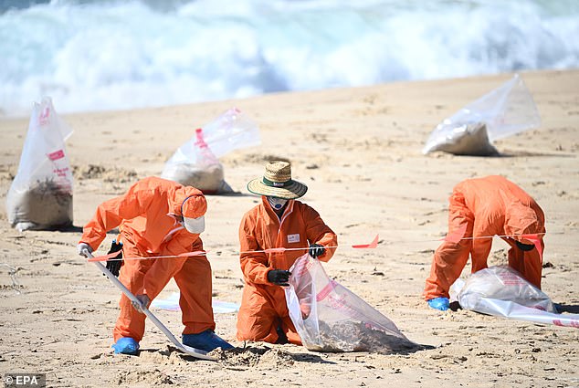 All eight affected beaches have now reopened, but the cause of the sewage leak is still unknown. Pictured: the clean-up operation at Coogee Beach