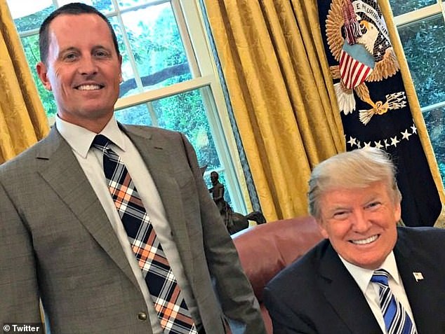 Trump has praised Grenell's tenacity and 