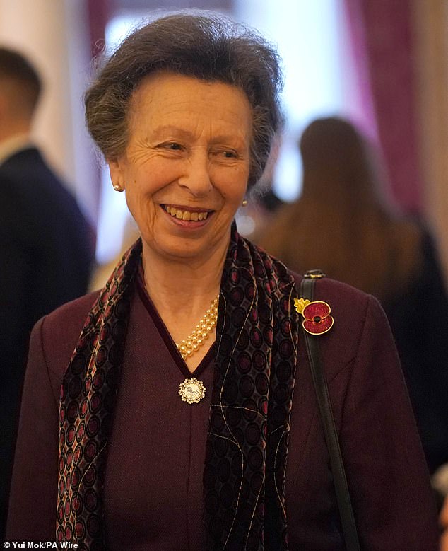 Princess Anne (pictured) attended the reception at Buckingham Palace in place of Queen Camilla, who is ill