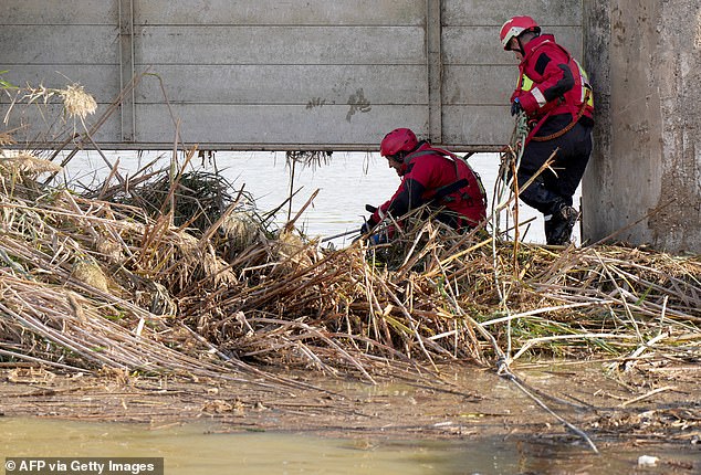 Valencia firefighters search for victims at a lock at L'Albufera, near Valencia, eastern Spain, on November 7, 2024