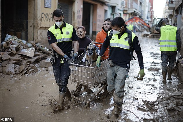 Members of the Bilbao City police help a woman carry a dog through a muddy street in the flood-affected city of Paiporta, Valencia, Spain, November 7, 2024