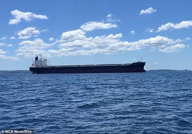 The crew member had not been seen since late Thursday evening after falling from the cargo ship (photo)