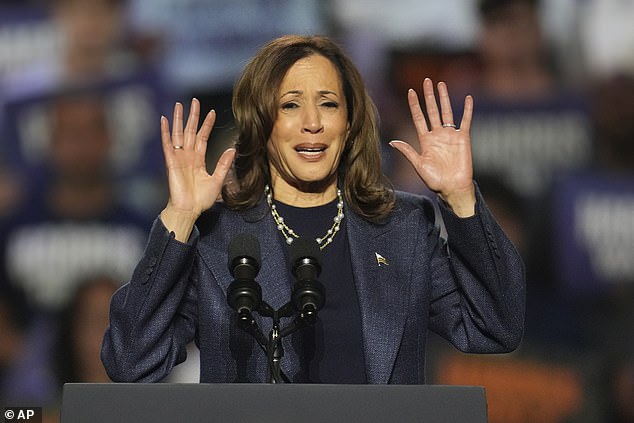 This election came down to four demographic factors. Each of which favored him, not Kamala Harris. A gender gap that wasn't, a racial realignment, youth preferring the older candidate, and a working-class revolt against elites.