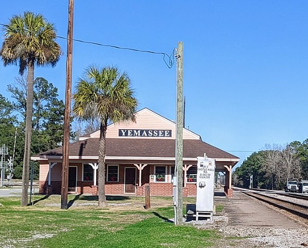 Residents of Yemassee, a town of 1,000 less than 50 miles west of Charleston, have been told to lock their doors and windows to prevent the primates from entering their homes.