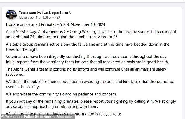 The Yemassee Police Department provides periodic updates on the status of the monkeys. An update on November 7 said: 'These animals are very sensitive and easily startled. We urge the public to avoid the area to avoid causing further fear.”