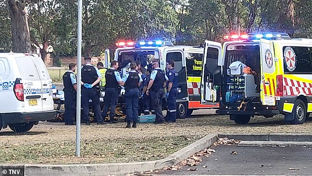 Staff at the Pullman Hotel in Penrith, western Sydney, made a grim discovery on Sunday afternoon when they found the dead body of a woman covered in blood. The scene is depicted