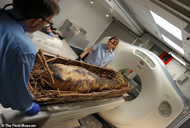 The scans showed that embalmers had threaded Chenet-aa into the coffin instead of molding it around her body.