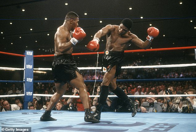 Tyson became the undisputed world champion in 1988, adding The Ring and the Lineal Titles to his collection after knocking out Michael Spinks in the first round (pictured as Trevor Berbick was demolished in 1986)