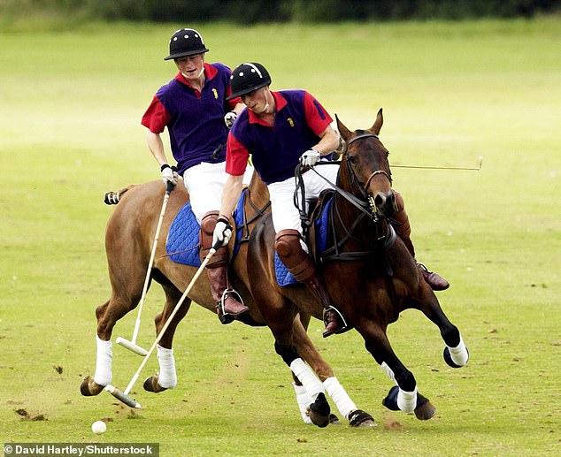 Prince William, pictured with Prince Harry, aims at the ball during a match at the Beaufort Club in the Cotswolds in 2002