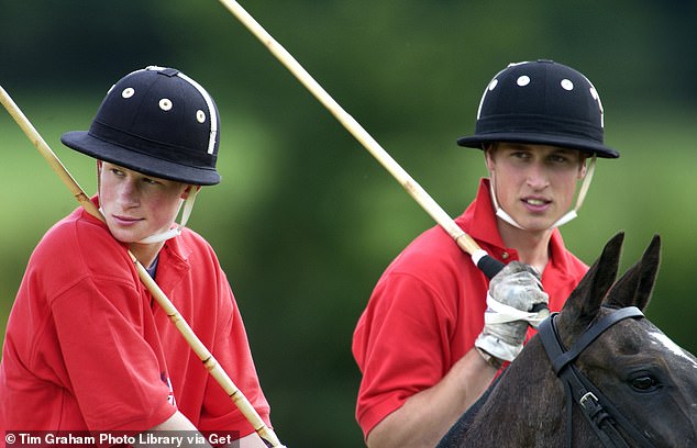 Harry and William take part in a game at Tedworth Polo Club in Wiltshire in 2002 to raise money for charity