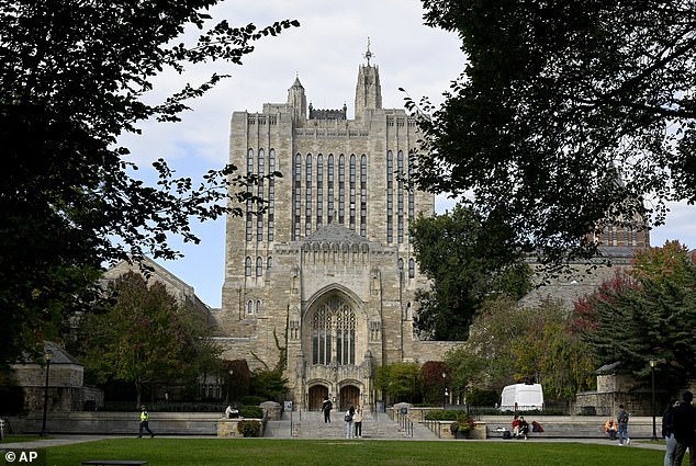 This spring, Yale students will take a deep dive into Beyoncé Makes History: Black Radical Tradition History, Culture, Theory & Politics through Music, a course led by African American studies and music professor Daphne Brooks, according to the Yale Daily News