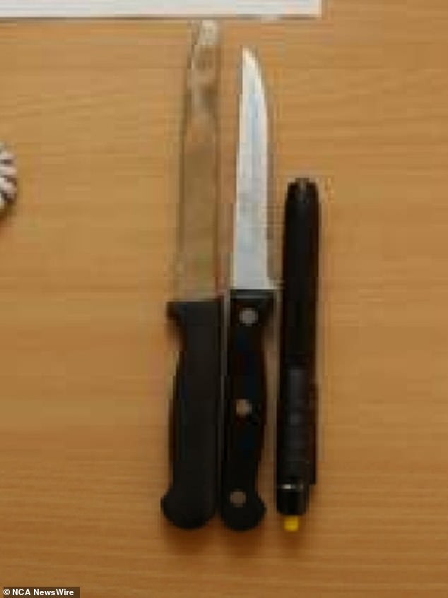 Two steak knives and a pen lamp were seized from the nursing home (photo)