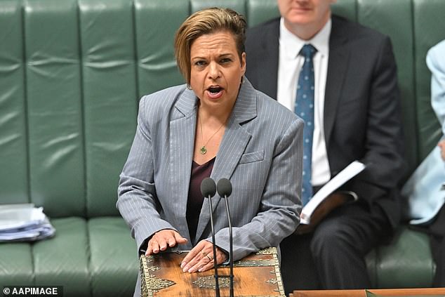 Communications Minister Michelle Rowland used the word 'harmful' no fewer than six times in a parliamentary speech, claiming the government was focused on protecting people from themselves