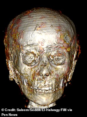 Using data from a 2023 study that 'virtually unwrapped' the mummy via CT scans, experts were able to rebuild its skull