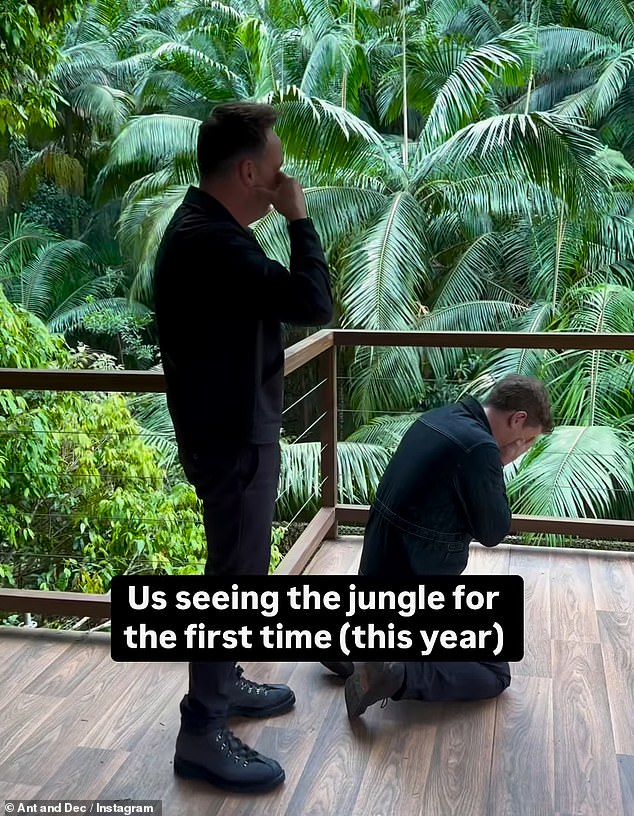 The duo, who have presented the series since it began in 2002, were stunned as they walked across the balcony and looked at the trees.