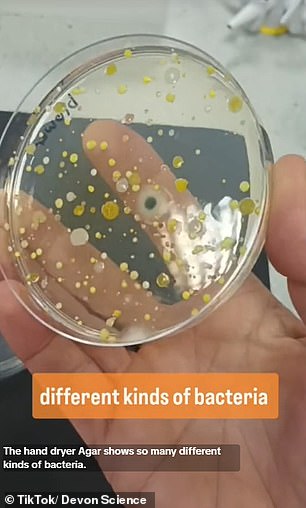 In a video that has been viewed 4.7 million times (pictured) on the social media site, the scientist is seen turning on the dryer over a petri dish to find out what bacteria would grow.