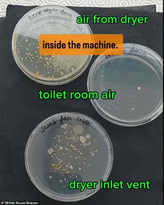 The scientist compared the bacteria directly from the hand dryer, from the air in the toilet and from the inlet opening of the dryer. She discovered that the drying plates contained the most bacteria