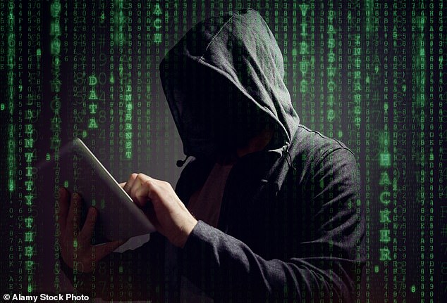 The biggest risk is that by using regular passwords, Internet users make it trivial for hackers to break into personal accounts (file photo)