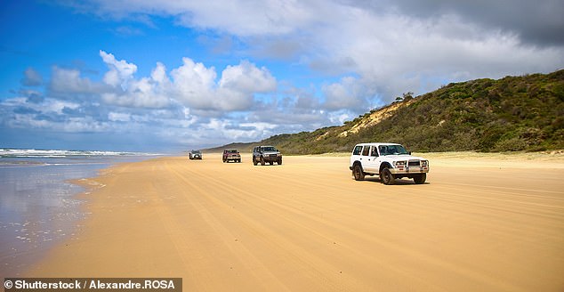 The island is popular with 4WD enthusiasts and authorities have reminded tourists that there are 'strict protocols' for collisions involving native wildlife. Pictured are 4WDs at K'Gari