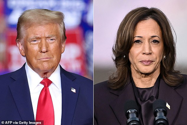 Both Donald Trump and Kamala Harris supported the campaign to legalize cannabis in Florida during the US elections, but voters rejected an amendment to the state constitution last week.