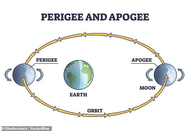 Supermoons occur when the full moon is at its 'perigee' - the point at which it is closest to the Earth.