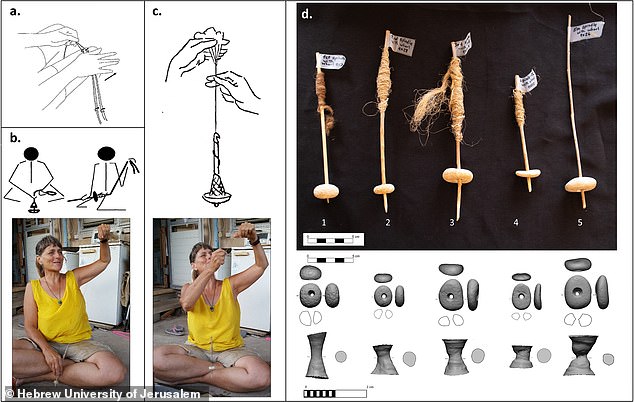 Researchers believe these stones were likely used as spindle whorls: round, weighted objects attached to a spindle stick, allowing it to efficiently collect fibers such as wool and spin them into yarn.