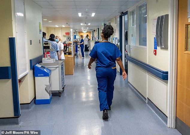 There are approximately 113,000 vacancies within the healthcare sector, which uses temporary staff to cover unfilled vacancies and illness (file photo)