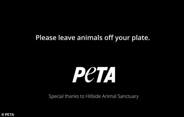 The non-profit organization said millions of cows are sent to the slaughterhouse every year and wants the public to eat vegan nut roasts this year, not roast beef.