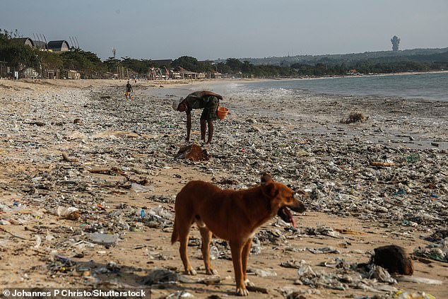 Avoid: Overtourism has turned Bali into a 'plastic apocalypse'