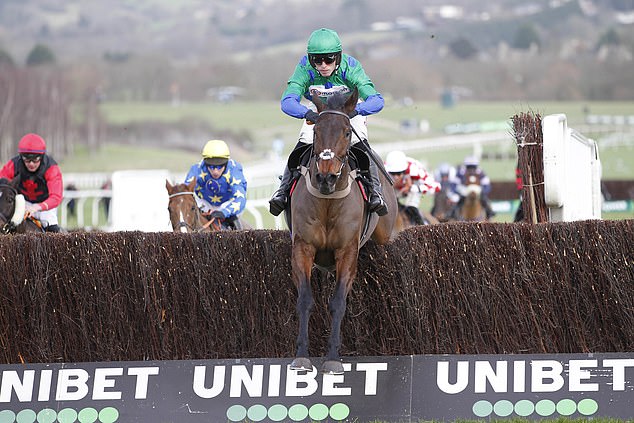 The race starts on Friday afternoon at Cheltenham Racecourse (pictured).