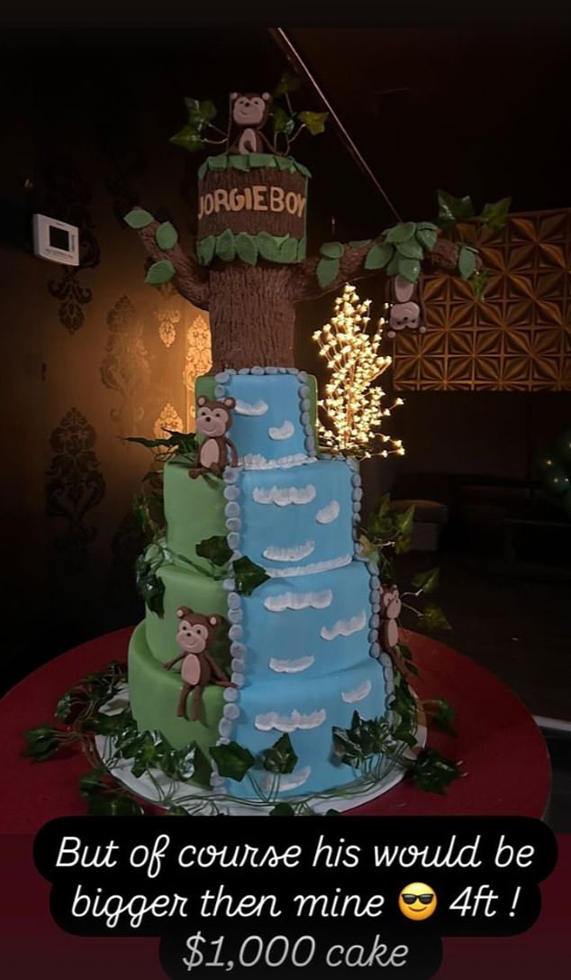 Botello said she organized a birthday party for Jorgie Boy, including this huge cake, which was attended by 400 people