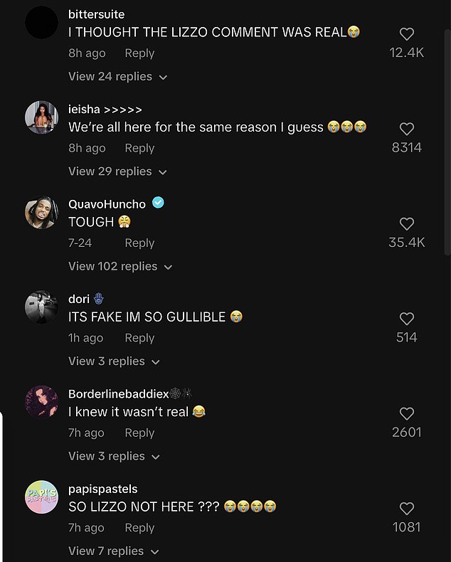 Their fans discovered it was all made up the hard way after searching through the comments looking for the sniping. “It's fake, I'm so gullible,” one user admitted