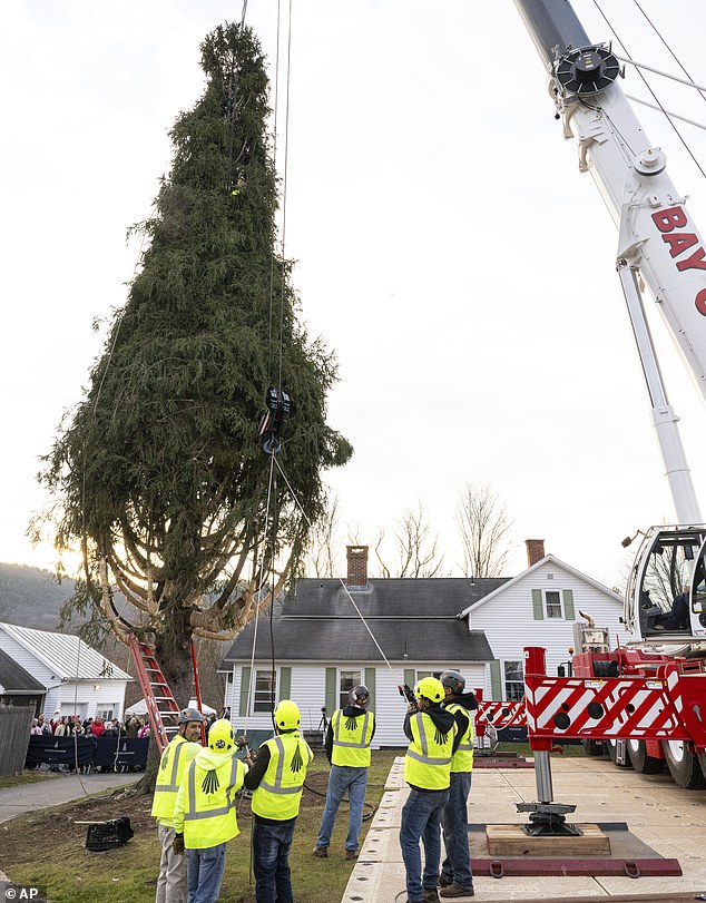 It was removed from the couple's property in West Stockbridge, Massachusetts, on November 7, as nearly 800 people watched