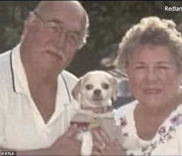 The couple's beloved Shih Tzu, Cuddles, was never found