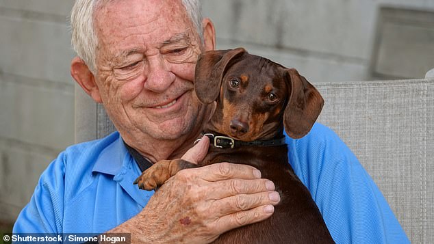 'Dog parents' have a close human-like bond with their pets and do not see them for their practical functions (stock image)