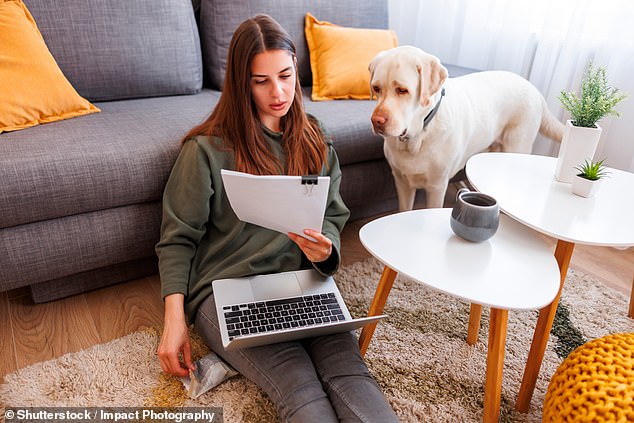 'Companions' keep dogs mainly for company - but keep an emotional distance (stock image)