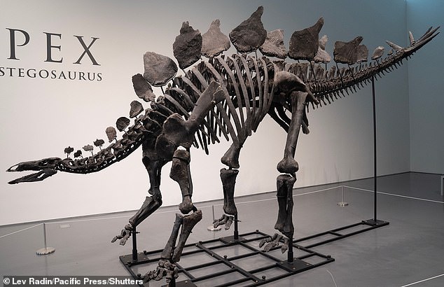 That same month, the man estimated to be worth nearly $50 billion bought a late Jurassic stegosaurus skeleton for $44.6 million from Sotheby's in New York City, a record dinosaur collecting sum that further demonstrated his deep pockets.