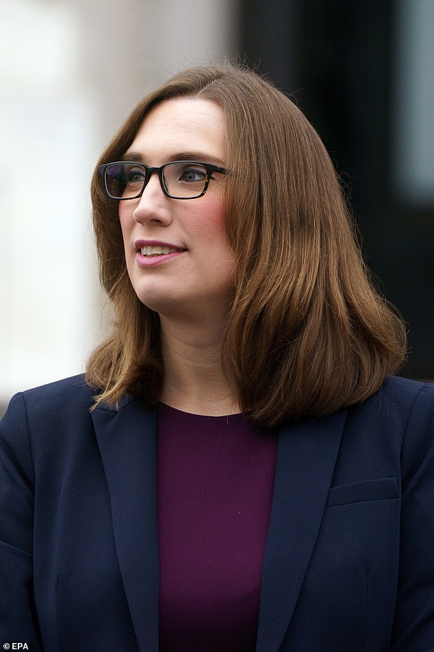 Representative Sarah McBride on the steps of the Capitol, in Washington, DC, November 15, 2024