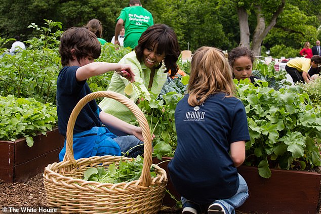 Michelle Obama wrote a book about her White House garden (see above in May 2013), but donated the profits to charity