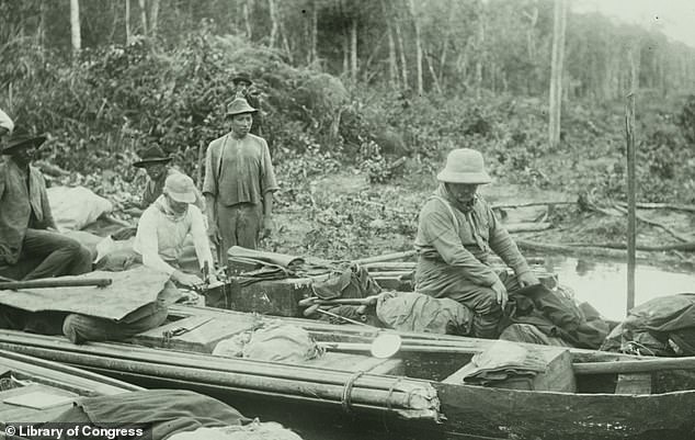 The expedition used dugout canoes and animal transport. Roosevelt eventually developed an infection. One team member shot and killed another team member