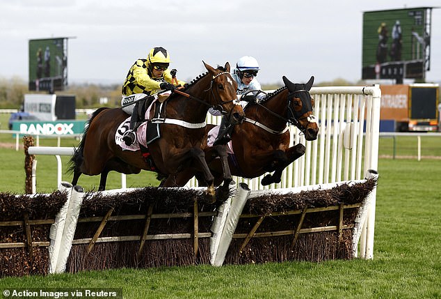 But another way of looking at his dip is that the form focuses closely on the rise of stablemate Sir Gino (left)