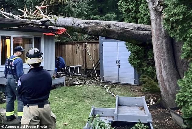 In this image from Eastside Fire & Rescue, officials investigate the scene where a tree fell on a home in Issaquah, Washington, Tuesday, November 19, 2024